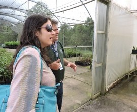 Visita ao viveiro e estufas do Projeto Quintais na Estação Experimental Cascata. 