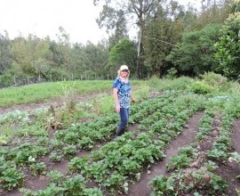 Visita técnica ao quintal orgânico dos agricultores Gilson Schwanz e sua esposa Márcia Schwanz, em Morro Redondo - RS.