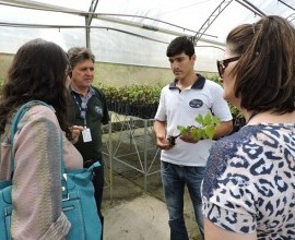 Visita ao viveiro e estufas do Projeto Quintais na Estação Experimental Cascata. 