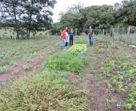 Visita técnica ao quintal orgânico da Escola Municipal Bruno Chaves, 9ª Distrito de Pelotas.