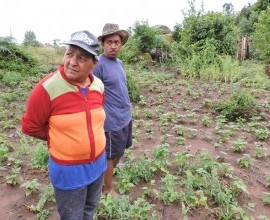 Visita técnica ao quintal orgânico do quilombola Roberto de Matos, no 5º Distrito de Canguçu, Comunidade Cerro das Velhas.