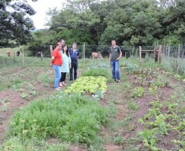 Visita técnica ao quintal orgânico da Escola Municipal Bruno Chaves, 9ª Distrito de Pelotas.