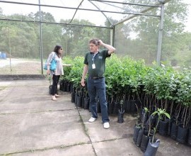 Visita ao viveiro e estufas do Projeto Quintais na Estação Experimental Cascata. 