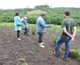 Visita técnica ao quintal orgânico dos agricultores Gilson Schwanz e sua esposa Márcia Schwanz, em Morro Redondo - RS.