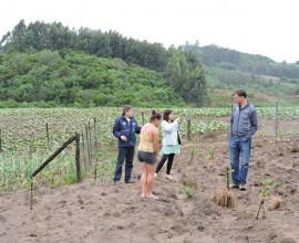 Visita técnica ao quintal orgânico da quilombola Inajara Flores da Silva Maass, no 5º Distrito de Canguçu, Comunidade Armada.