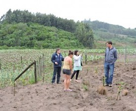 Visita técnica ao quintal orgânico da quilombola Inajara Flores da Silva Maass, no 5º Distrito de Canguçu, Comunidade Armada.