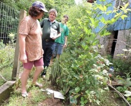 Quintal Orgânico do estudante Eduardo Ebert em Alto Ferraz, Vera Cruz - RS.