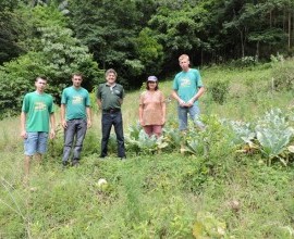 Quintal Orgânico do estudante Eduardo Ebert em Alto Ferraz, Vera Cruz - RS.