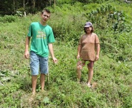 Quintal Orgânico do estudante Eduardo Ebert em Alto Ferraz, Vera Cruz - RS.