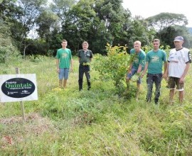 Quintal Orgânico do estudante Rafael Fernando Schroeder em Linha Ferraz, Vera Cruz - RS.