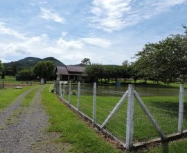 Quintal Orgânico do estudante Rafael Fernando Schroeder em Linha Ferraz, Vera Cruz - RS.