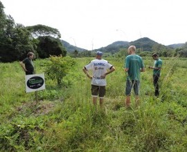 Quintal Orgânico do estudante Rafael Fernando Schroeder em Linha Ferraz, Vera Cruz - RS.