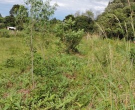 Quintal Orgânico do estudante Rafael Fernando Schroeder em Linha Ferraz, Vera Cruz - RS.