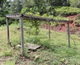 Quintal Orgânico do estudante Eduardo Ebert em Alto Ferraz, Vera Cruz - RS.