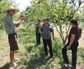 Chefe da Embrapa Roraima visita Projeto Quintais Orgânicos de Frutas