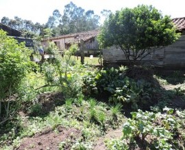 Quintal Orgânico de Gilson e Márcia em Morro Redondo - RS