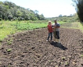 Quintal Orgânico de Gilson e Márcia em Morro Redondo - RS