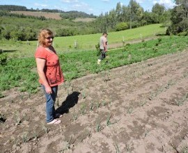 Quintal Orgânico de Gilson e Márcia em Morro Redondo - RS