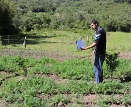 Quintal Orgânico de Gilson e Márcia em Morro Redondo - RS