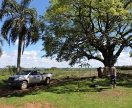 Quintal Orgânico de Gilson e Márcia em Morro Redondo - RS