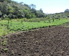 Quintal Orgânico de Gilson e Márcia em Morro Redondo - RS