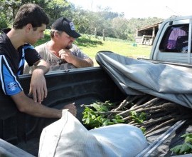 Quintal Orgânico de Gilson e Márcia em Morro Redondo - RS