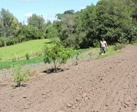 Quintal Orgânico de Gilson e Márcia em Morro Redondo - RS