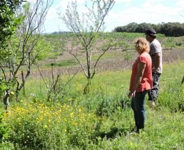 Quintal Orgânico de Gilson e Márcia em Morro Redondo - RS