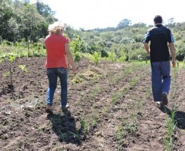 Quintal Orgânico de Gilson e Márcia em Morro Redondo - RS