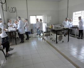 Projeto Quintais capacita estudantes da UFPel