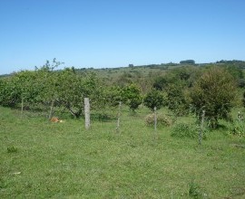 Quintal Orgânico do agricultor José Francisco Peres.