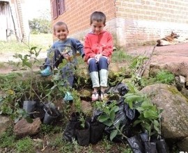 Comunidade Quilombola recebe quintal orgânico em Canguçu-RS