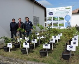 Projeto Quintais é apresentado à agricultores familiares em Dia de Campo.