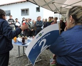 Técnicos e agricultores assistidos pelo Capa participam de Dia de Campo realizado pela Embrapa