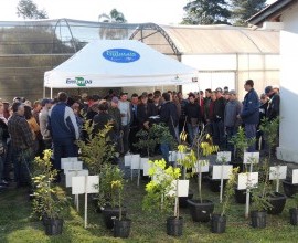 Agricultores assistidos pelo CAPA participam do dia de campo