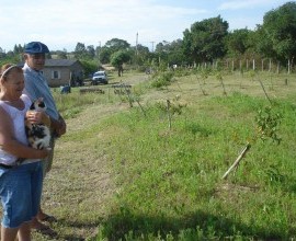 Quintal Orgânico de Seu João Antonio Pagani e a Dona Selma.