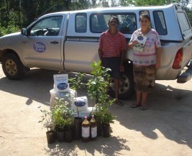 Projeto Quintais presta assistência a assentamentos no município de Arambaré-RS