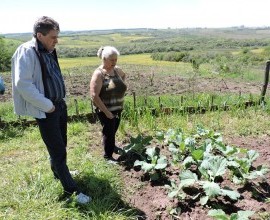 Vistoria no Quintal Orgânico da dona Elaine em Hulha Negra - RS