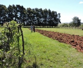 Vistoria no Quintal Orgânico do seu Eduíno em Santana do Livramento - RS