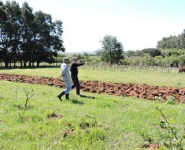 Vistoria no Quintal Orgânico do seu Eduíno em Santana do Livramento - RS