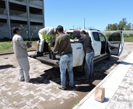 Entrega de 2 Quintais Orgânicos em Dom Pedrito - RS