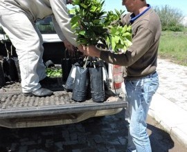 Entrega de 2 Quintais Orgânicos em Dom Pedrito - RS