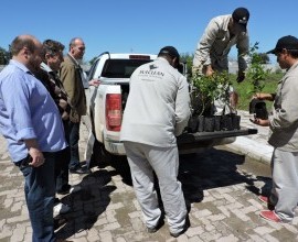 Entrega de 2 Quintais Orgânicos em Dom Pedrito - RS