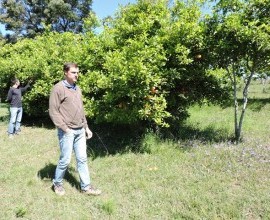 Vistoria no Quintal Orgânico do seu Eduíno em Santana do Livramento - RS
