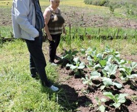 Vistoria no Quintal Orgânico da dona Elaine em Hulha Negra - RS
