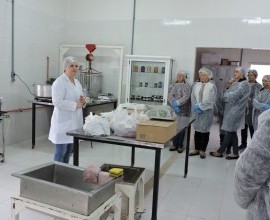 Cursos em Agroindústria- Processamento de Frutas e Hortaliças, ministrado pela Dr. Ana Krolow.