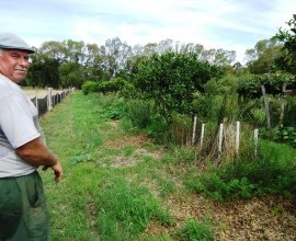 Eduardo Vieira - Pequeno Agricultor / Santa Vitória do Palmar-RS