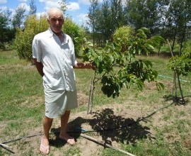 Rui Soares de Paiva - Agricultor Familiar / Jaguarão-RS