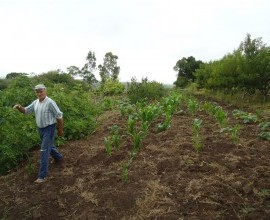 Trajano Brum da Silva - Pequeno Agricultor / Pinheiro Machado-RS
